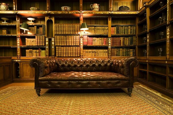 Sofa among books in the home library