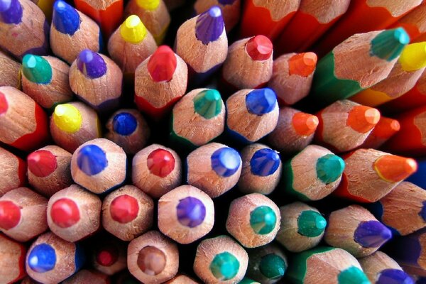 Crayons multicolores aiguisés vautours