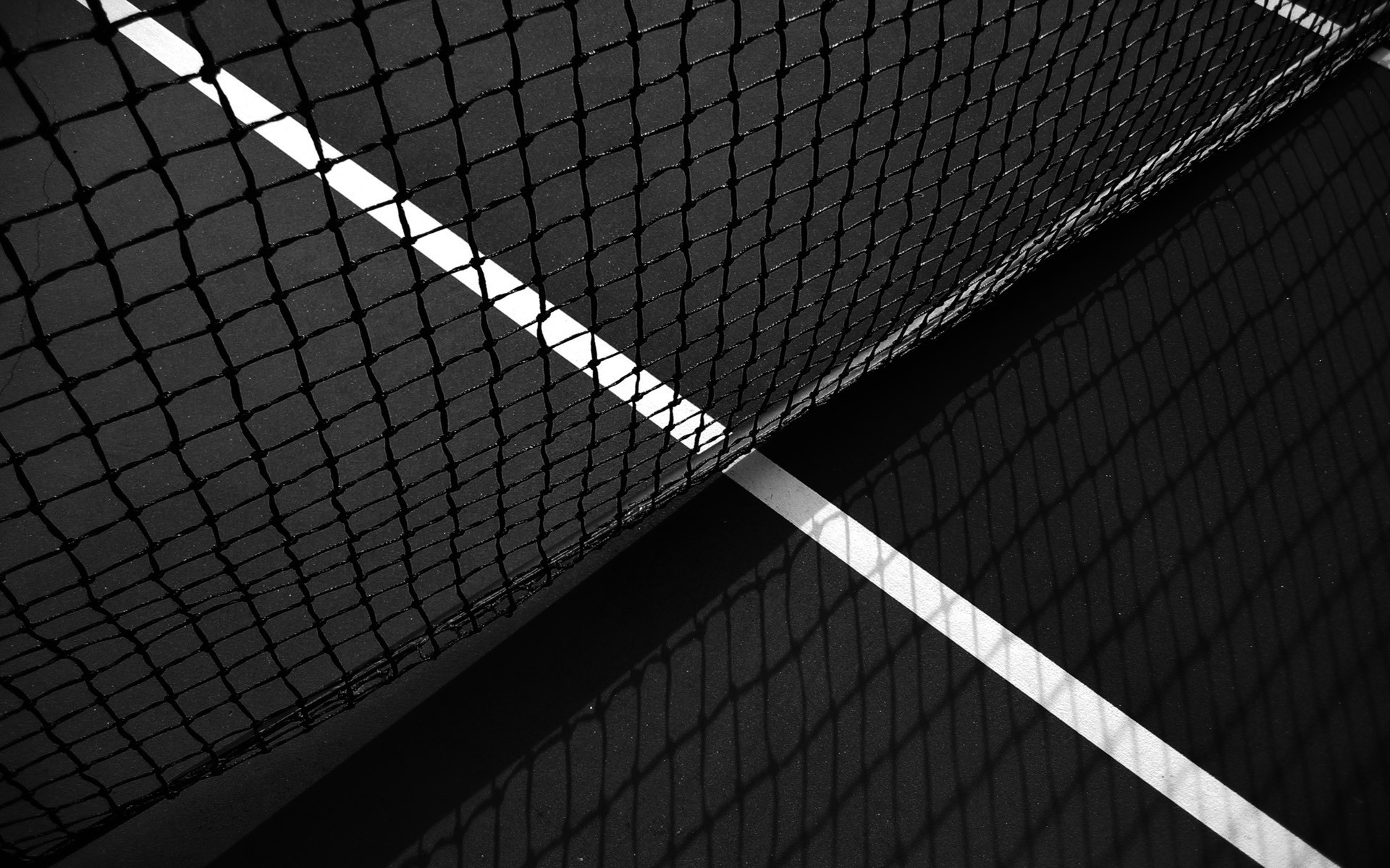 net tennis black and white