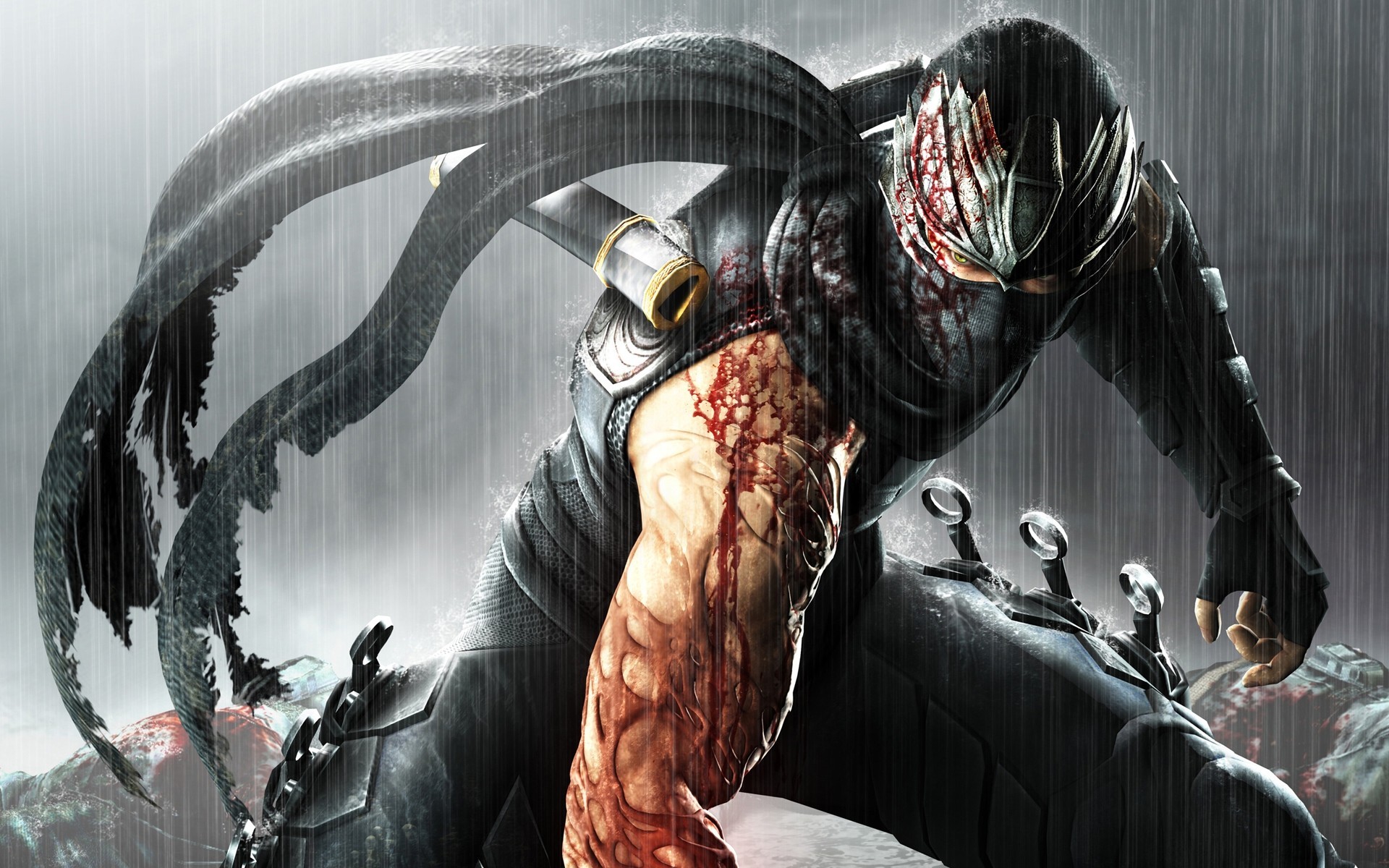 ninja gaiden armi azione slasher anime guerrieri ninja fantasia sangue