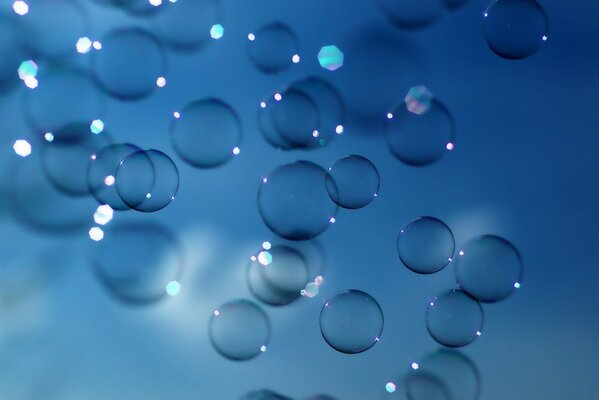 Transparent bubbles on a blue background