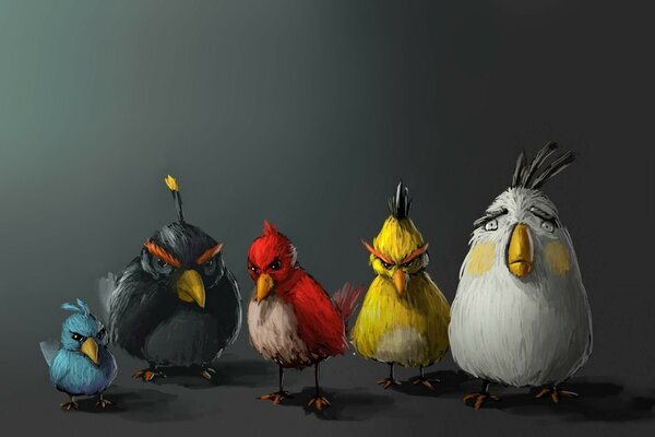 Пять птичек из angry birds на сером фоне
