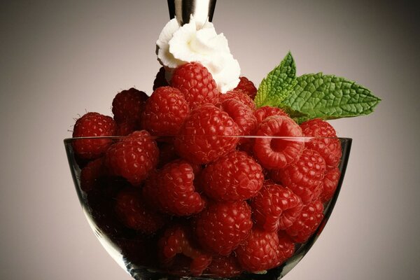 Raspberry cup with cream