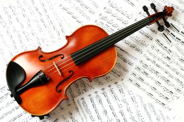 Il violino si trova su fogli con note