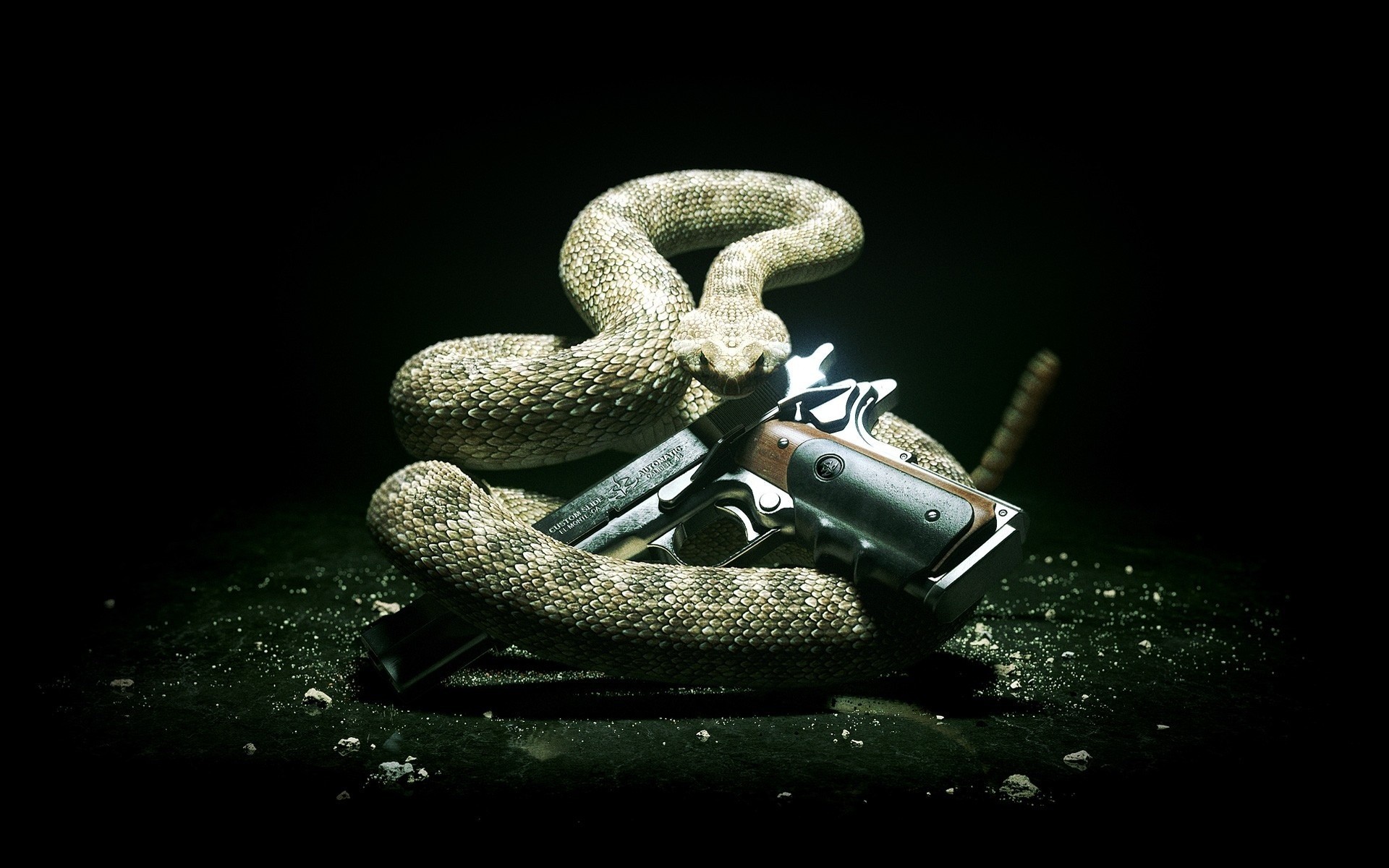 hitman 5 hitman mese stile killer hitman 5 silverballer serpente