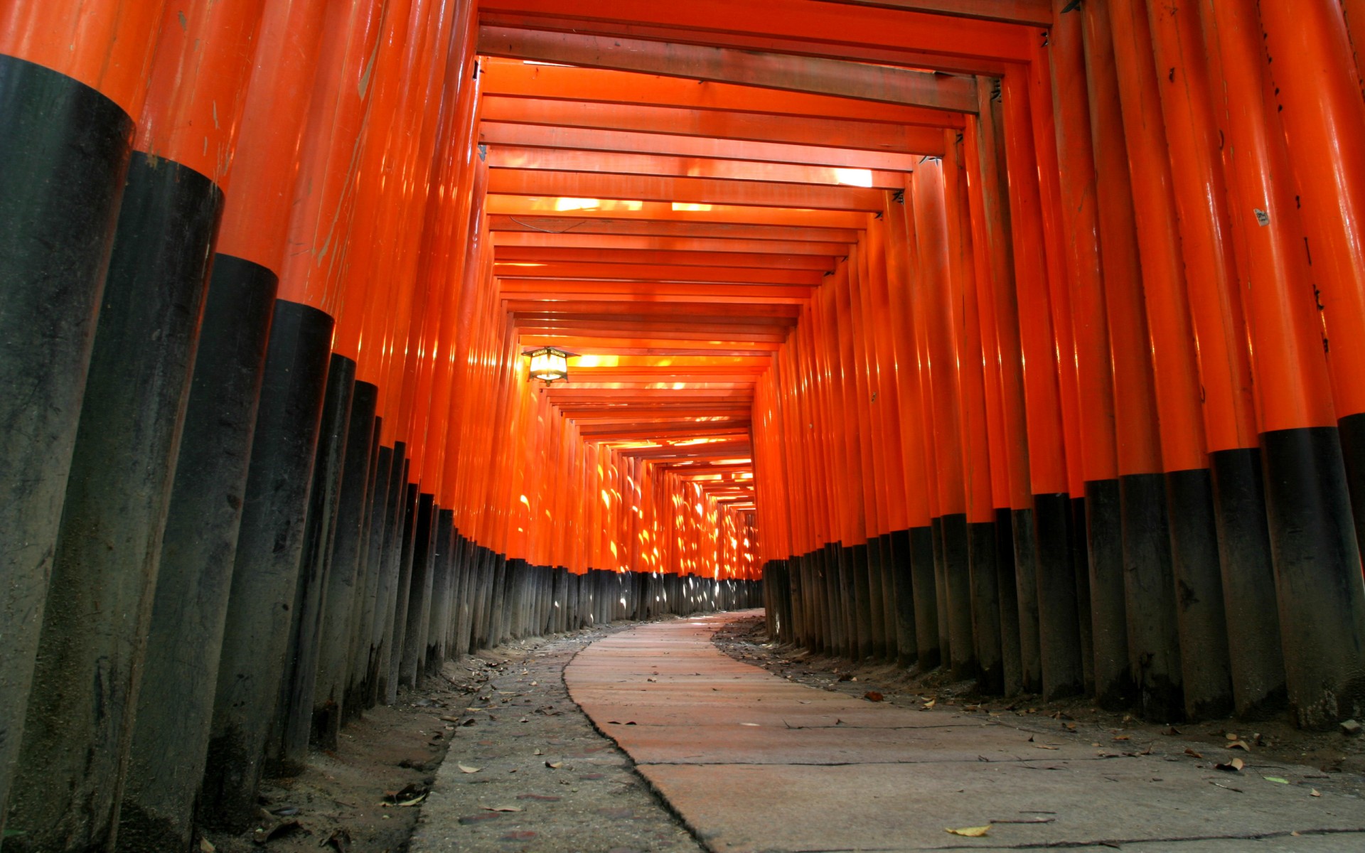 tempel japan shinto baum rot schwarz