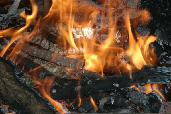 Ein brennendes Lagerfeuer, das Seele und Körper wärmt