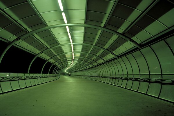 Green pedestrian crossing going into the distance