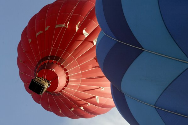 Beautiful photo of balloons flying