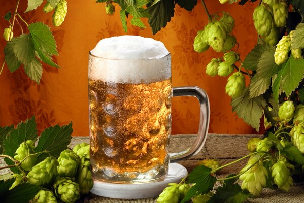 Becher Bier in Malz und Hopfen gehüllt