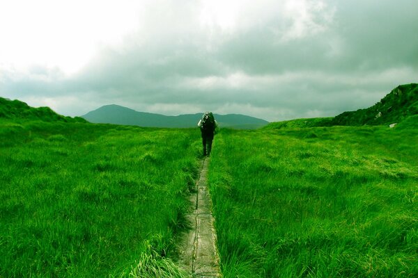 A traveler walks along a path among green grass