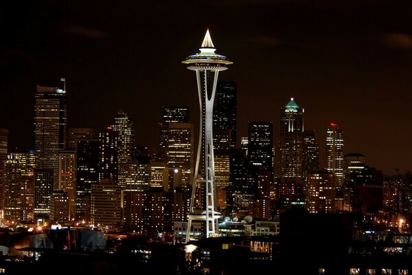 Night view of the big city from above