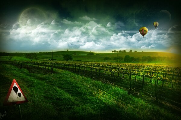 Воздушные шары поднялись над зелёными лугами