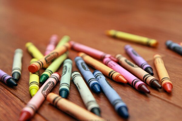 Pencils of different colors for children and animals drunk