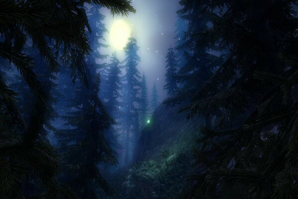 Foresta nebbiosa notturna al chiaro di luna