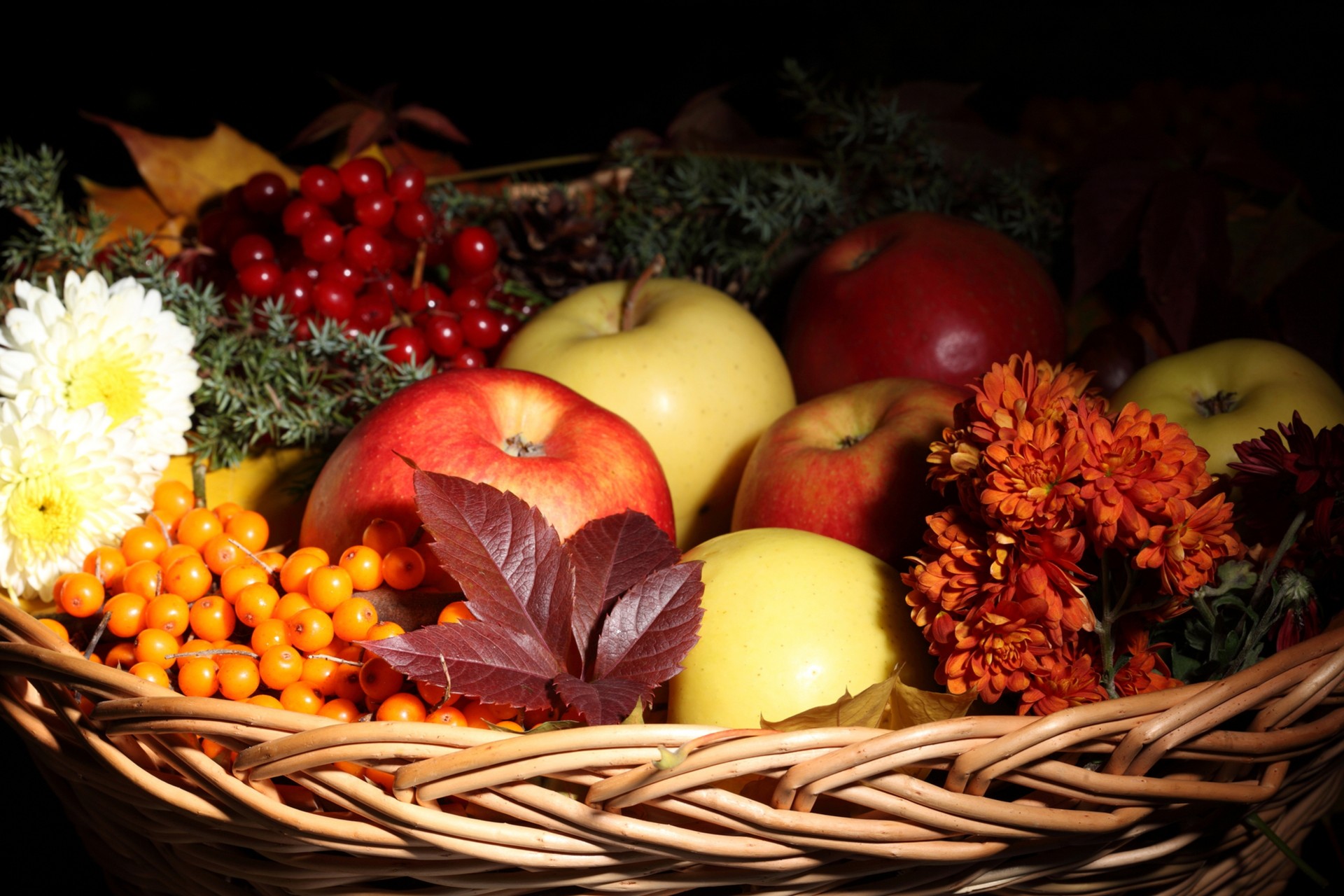 feuille fruits fleurs pommes shopping automne argousier