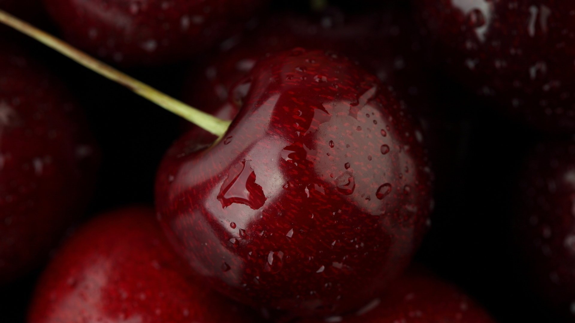 food drops macro cherry fruit water cherry fruit food macro