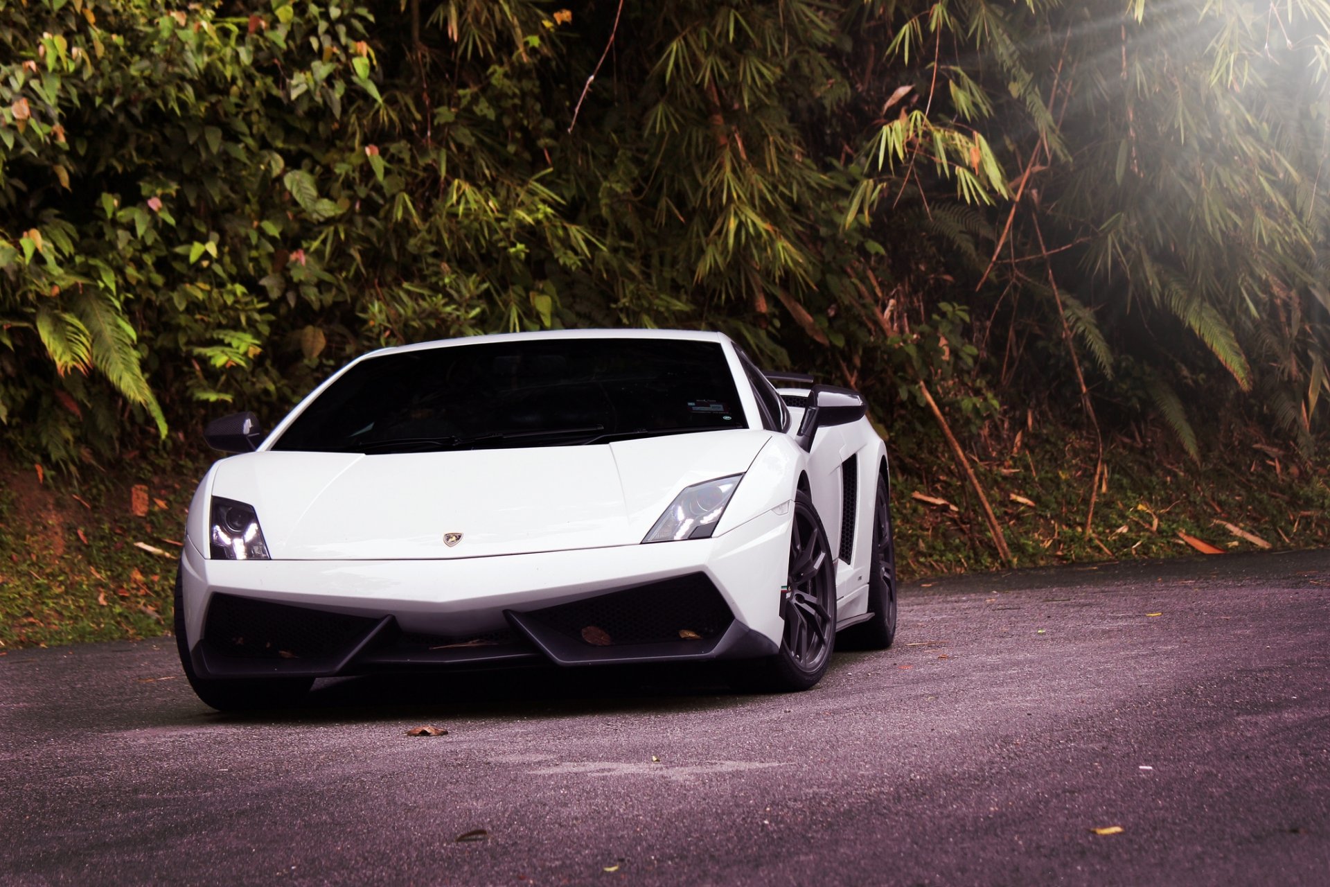 lamborghini gallardo lp570-4 superleggera biały lamborghini gaillardo przyciemniany widok z przodu reflektor droga drzewa