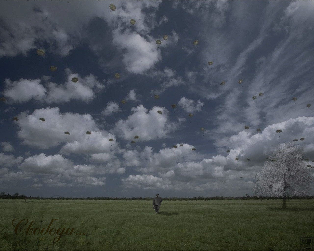 tristesse solitude vide nuageux steppe vol liberté inscriptions