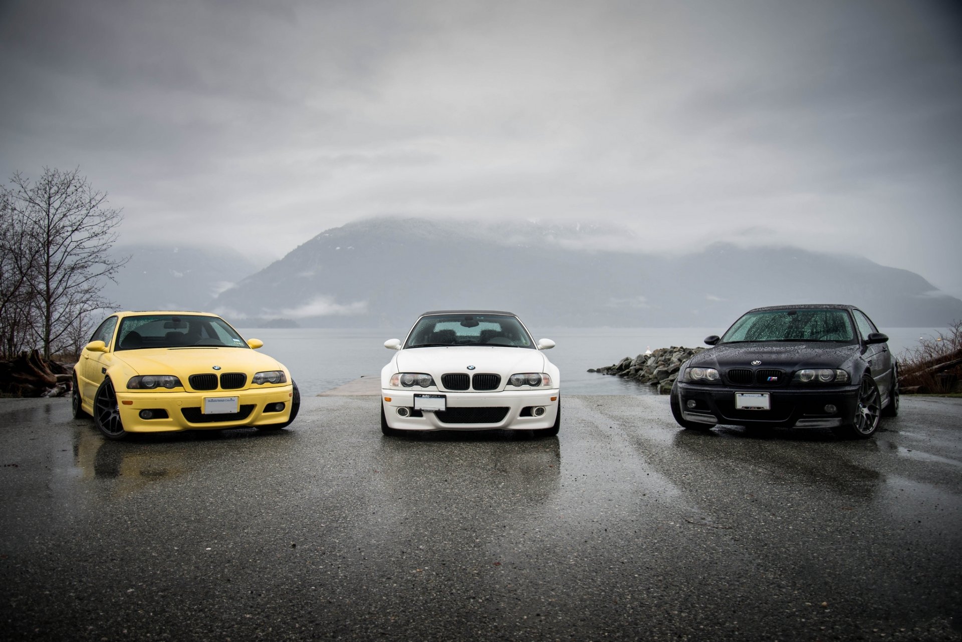 bmw m3 e46 amarillo negro blanco bmw vista frontal sombra reflexión