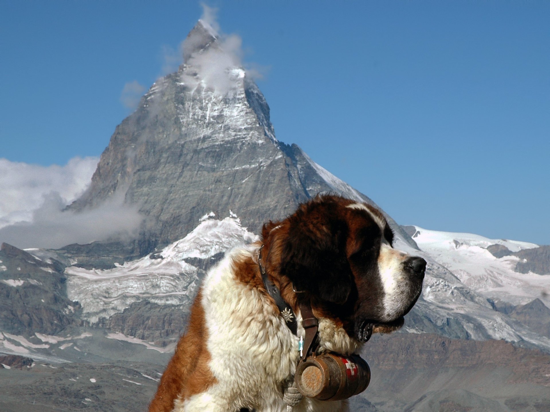 matterhorn st. bernard alp