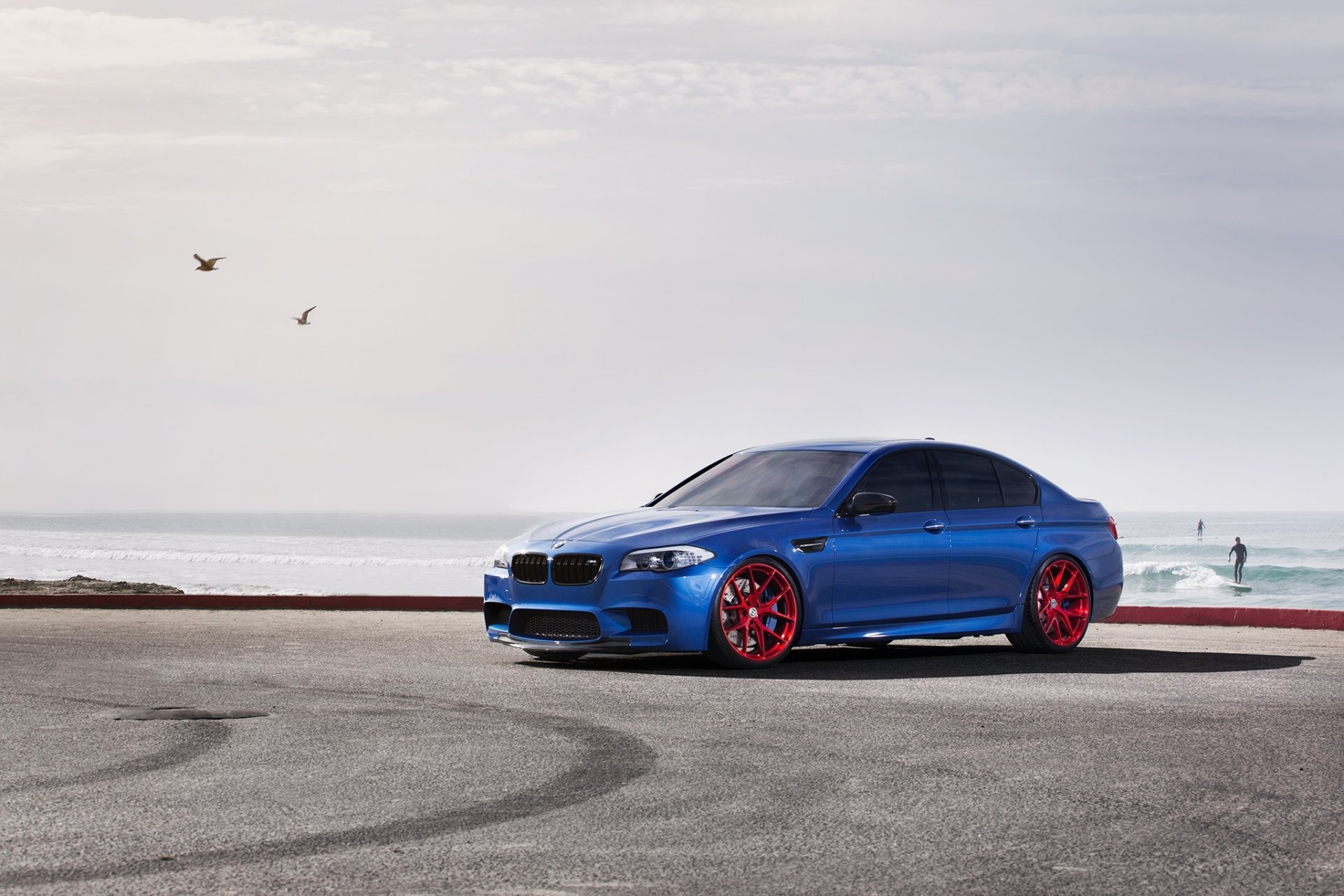 bmw m5 f10 monte-carlo-blau bmw blau vorderansicht himmel möwen