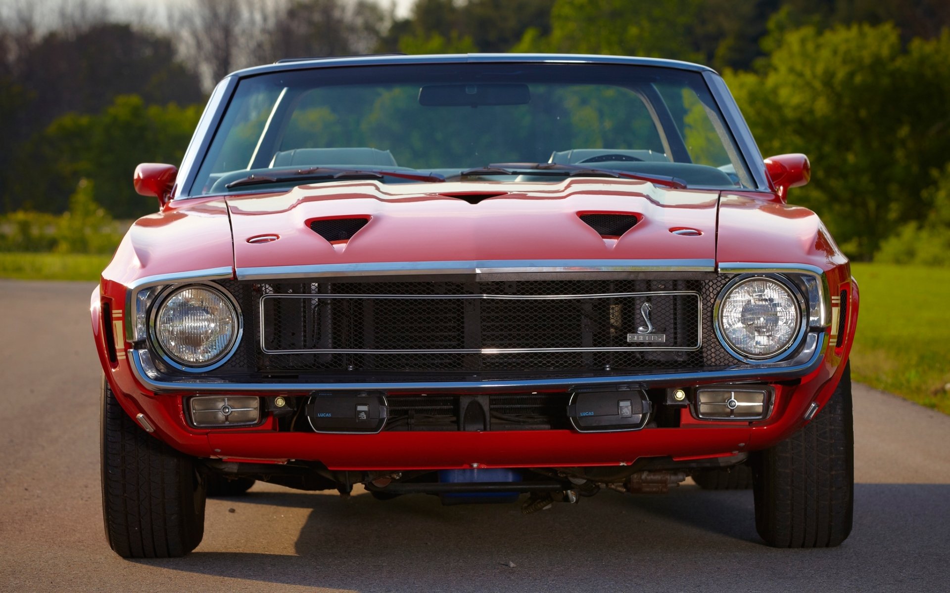 ford mustang shelby gt500 cabrio 1969 muscle car muscle car front