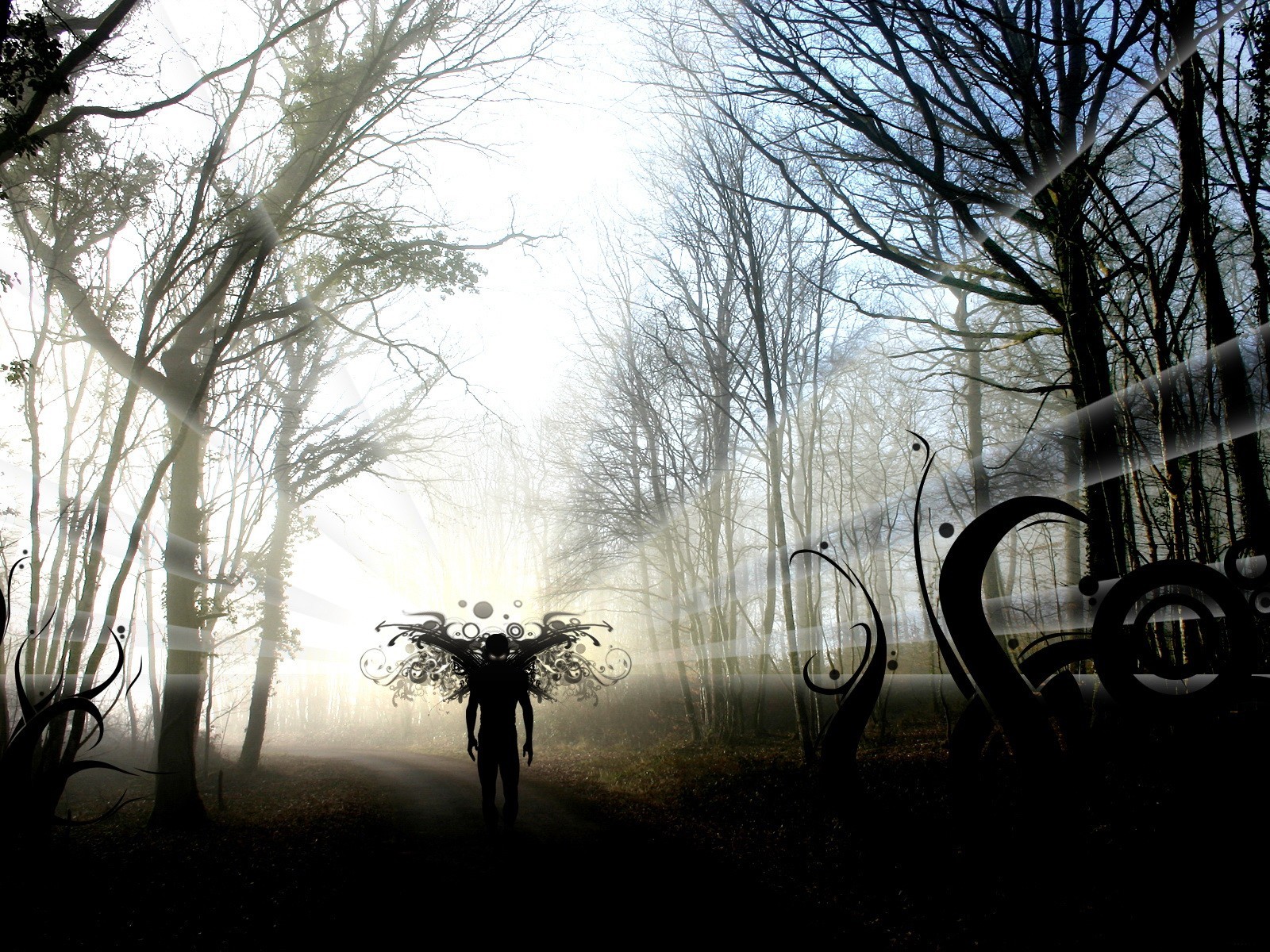 peur forêt ombre