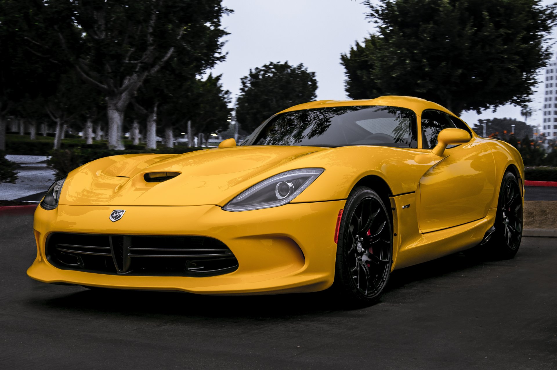 dodge viper sto gts żółty dodge viper widok z przodu drzewa