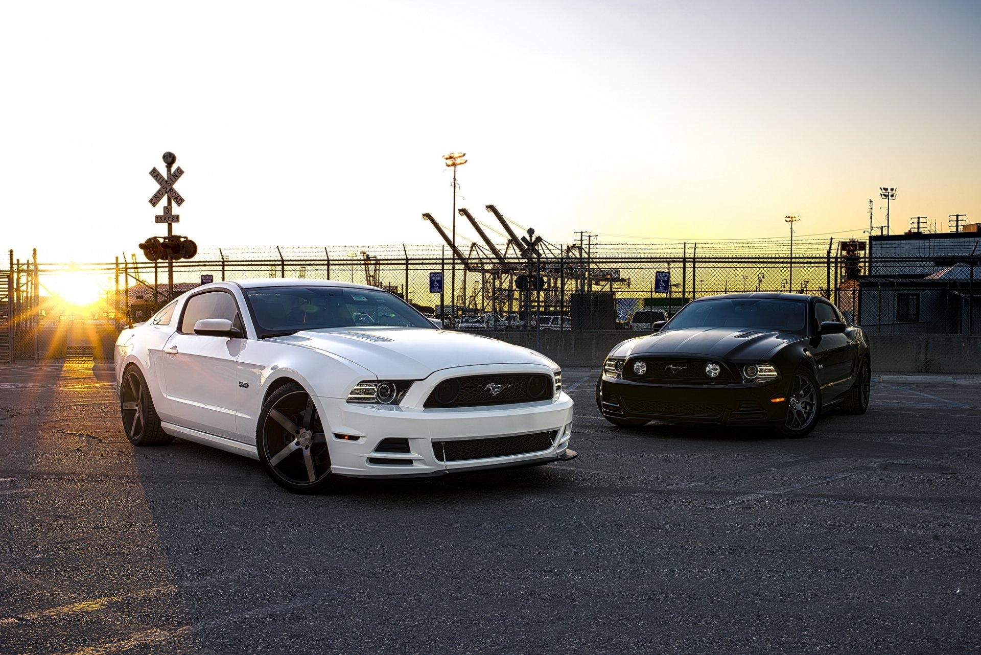 ford mustang gt negro blanco puesta de sol esgrima