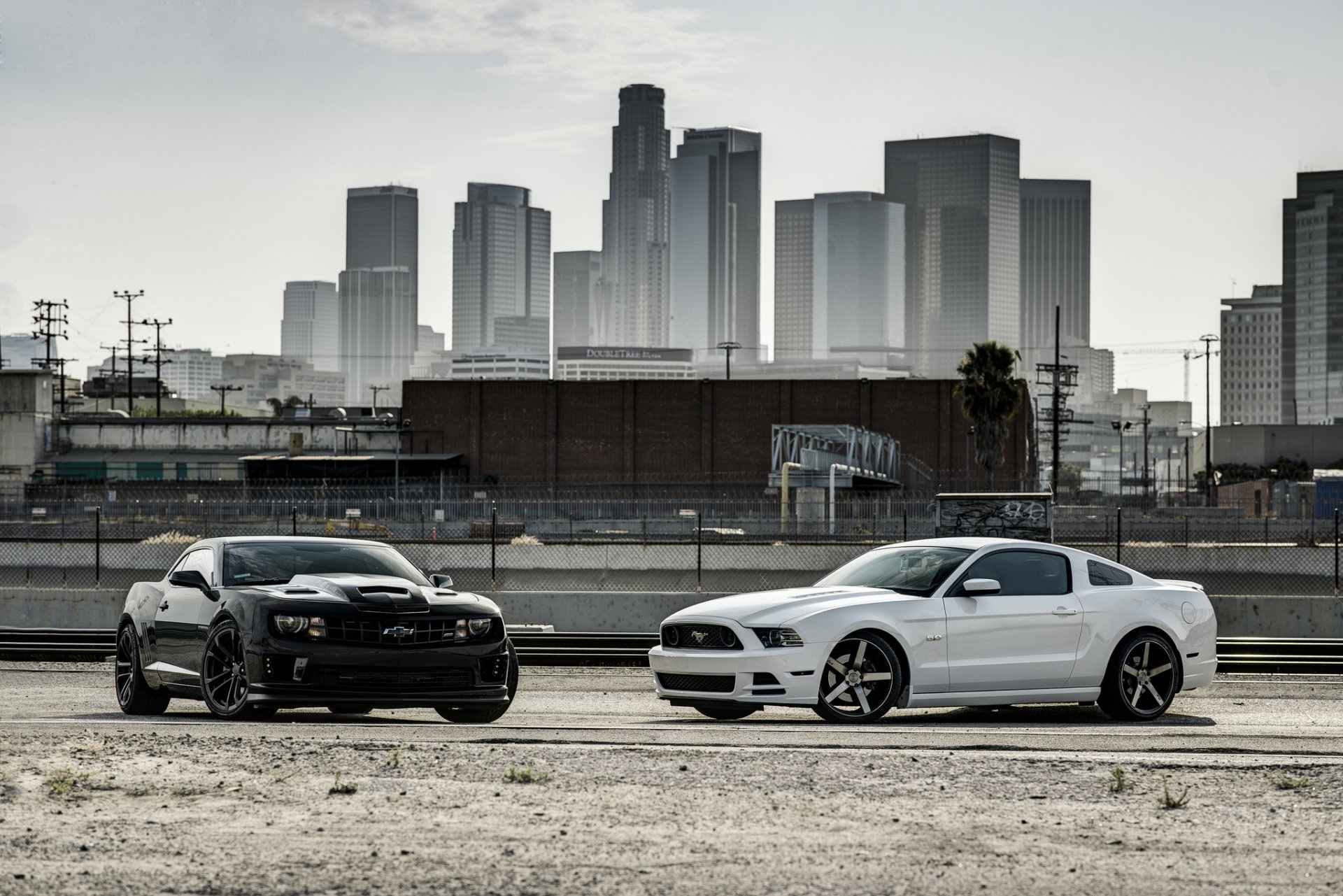 ford mustang chevrolet camaro ss chevrolet camaro bianco città