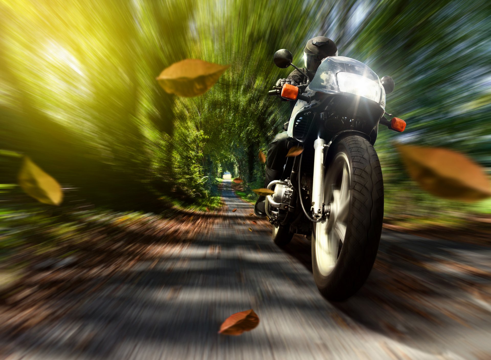 motocicleta motociclista casco velocidad naturaleza otoño hojas