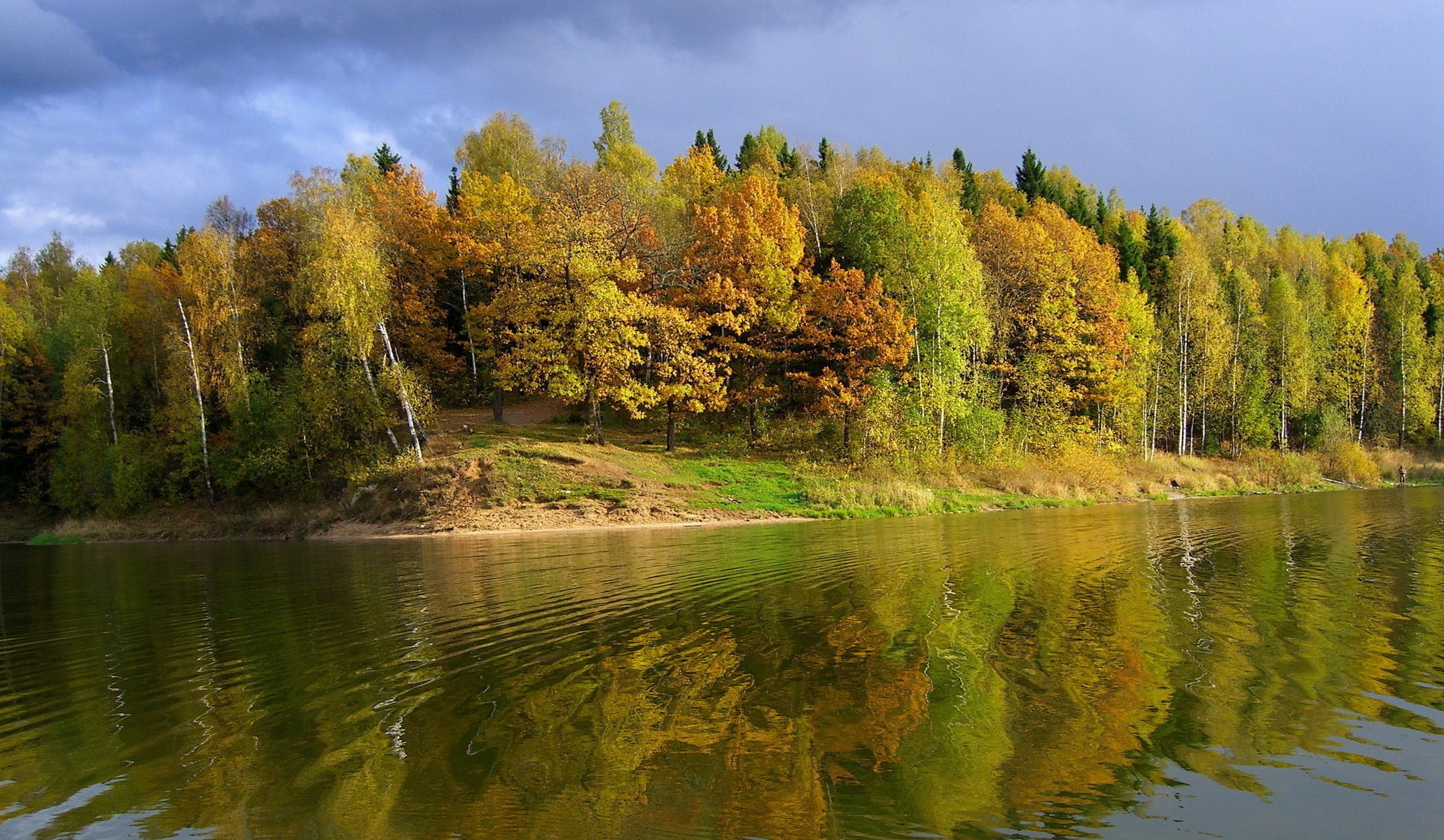 autunno fiume riva cielo alberi