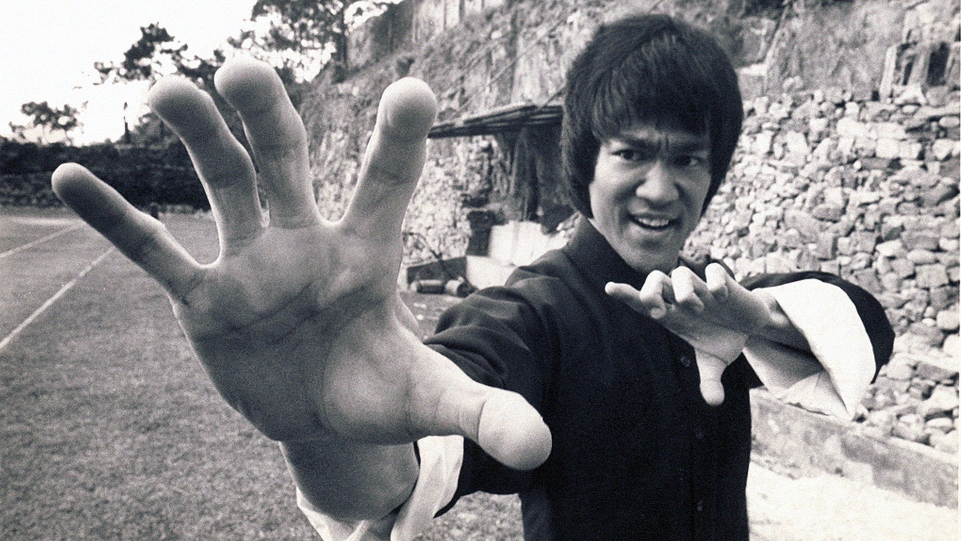 jeet kune-up martial arts sport bruce lee