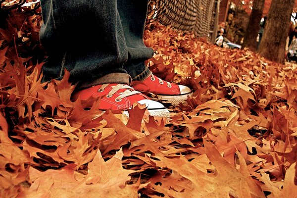 Ein Mann in Turnschuhen steht auf Herbstblättern