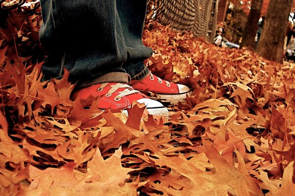 El chico de las Zapatillas de deporte de pie en las hojas de otoño