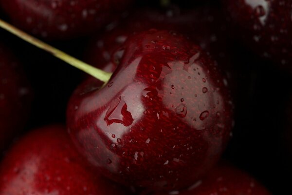 Macro image of a cherry