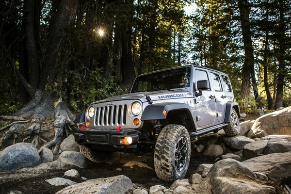 Jeep drives off-road and rocks in the forest