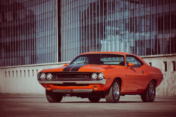 Orange Dodge Challenger na drodze