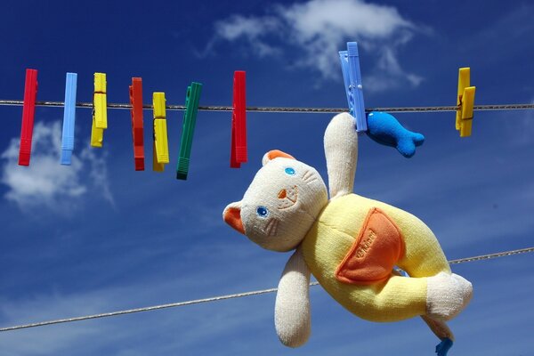 Orso appeso a una corda da bucato