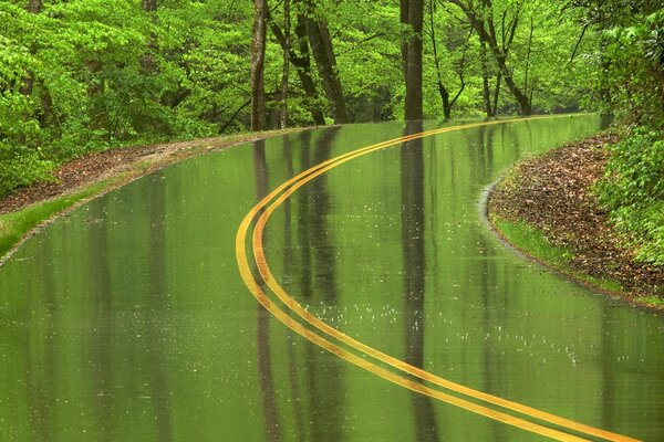 Route verte au cœur de la nature
