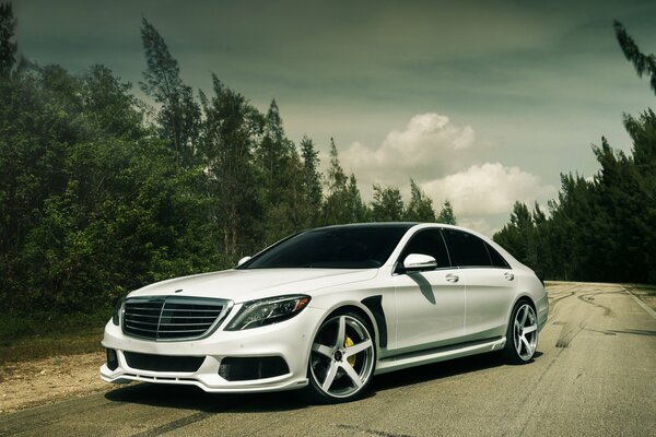 Mercedes-Benzes S550 messa a punto bianca sulla strada su uno sfondo di foresta Vista frontale