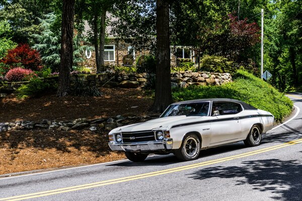 Fondo de pantalla de chevrolet chevelle 1972 en el fondo del bosque