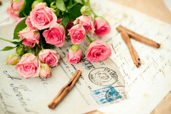 Pink roses are gathered in a bouquet