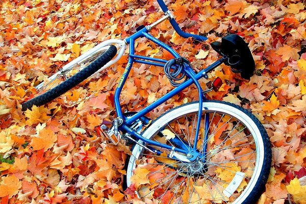 Fahrrad auf einem Herbstteppich aus Blättern