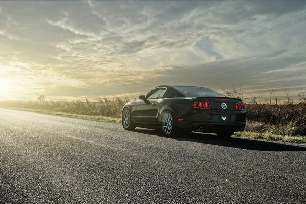 En la carretera bajo el sol brillante negro Ford Mustang 