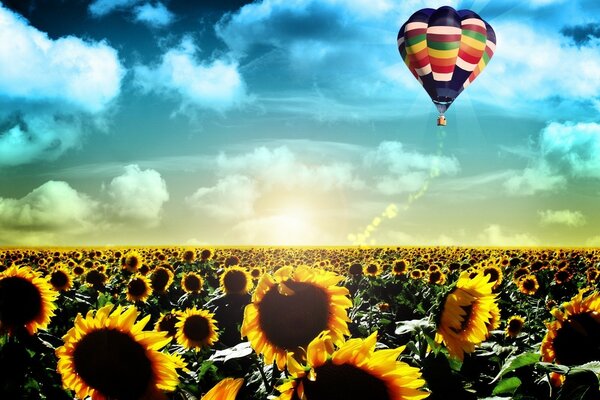 A balloon flying over a sunflower field at dawn