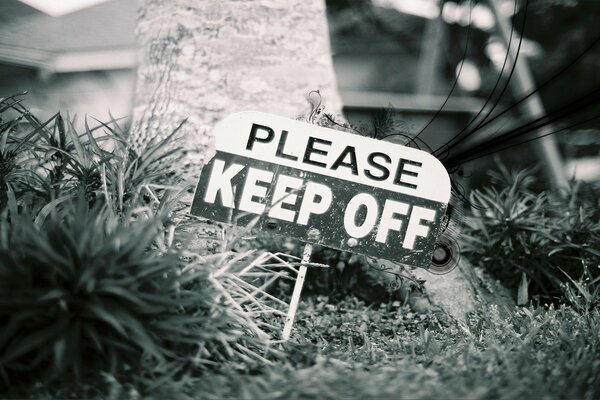 Plaque dans l herbe dans le style noir et blanc