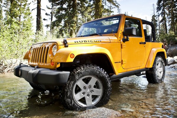 Jeep Rengler Rubicon im Hintergrund der Natur