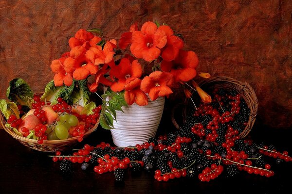 Stillleben mit Beeren. Viele Beeren. Strauß Mohnblumen